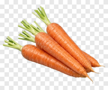 Fresh Carrots With Green Tops PNG