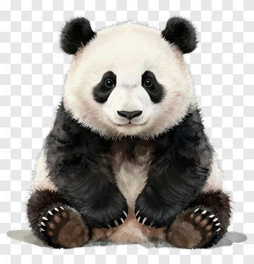 Cute Watercolor Panda PNG