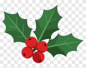 Holly With Red Berries PNG
