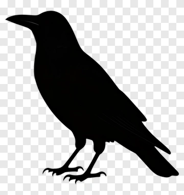Black Crow Silhouette PNG