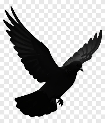 Black Bird In Flight PNG