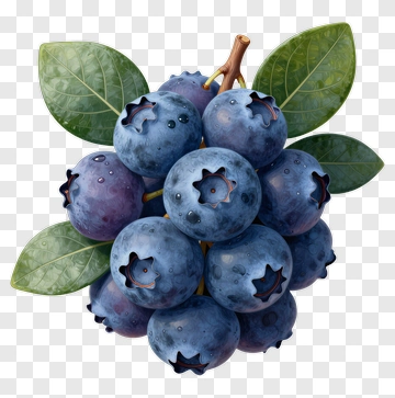 Cluster Of Blueberries With Leaves PNG