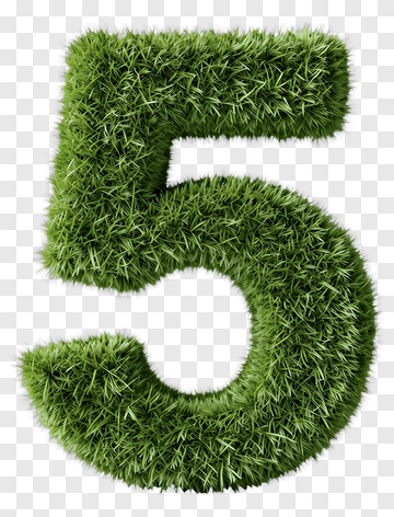 Number Five Made Of Grass PNG