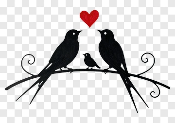 Couple Of Birds With Heart PNG