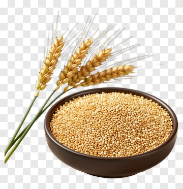 Wheat Grains In Wooden Bowl With Stalks PNG