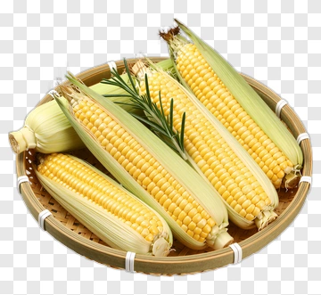 Fresh Corn With Rosemary In Basket PNG