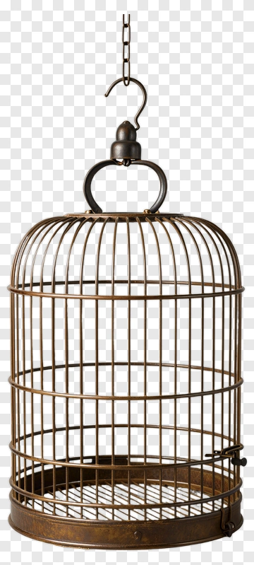 Vintage Metal Birdcage PNG