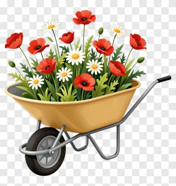 Wheelbarrow Full Of Flowers PNG