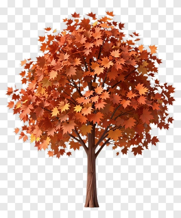 Autumn Maple Tree With Vibrant Leaves PNG