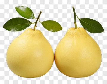 Two Fresh Pomelos With Leaves PNG
