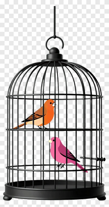Two Birds In A Birdcage PNG