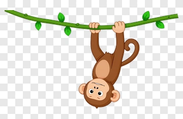 Cartoon Monkey Hanging From Branch PNG