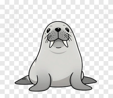 Cute Seal With Tusk PNG