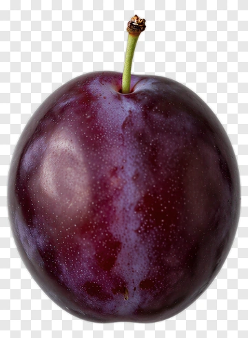 Plum With Stem PNG