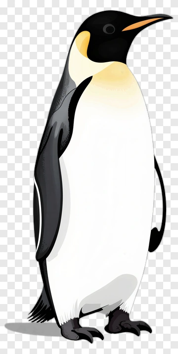Cartoon Penguin PNG