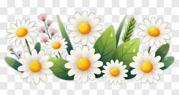 Daisy And Leaf Composition PNG