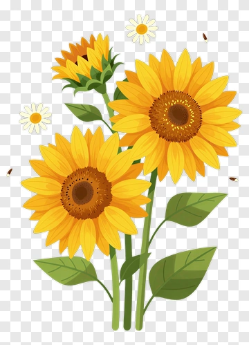 Sunflower And Daisy Bouquet PNG