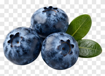 Fresh Blueberries With Leaf PNG