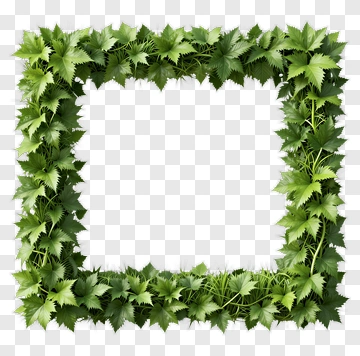 Green Leaf Frame Border PNG