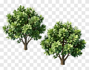 Two Trees Floating On Water PNG
