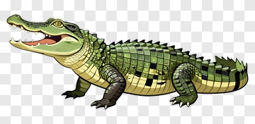 Cartoon Crocodile PNG