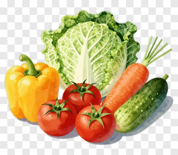 Fresh Vegetables Watercolor Illustration PNG