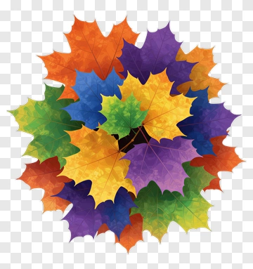 Colorful Leaves Arranged In Circle PNG