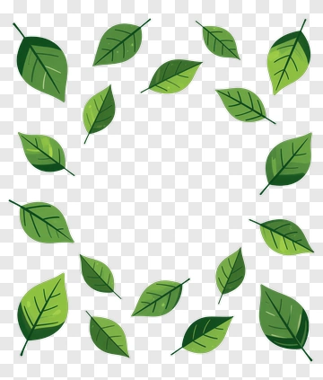 Green Leaf Frame PNG