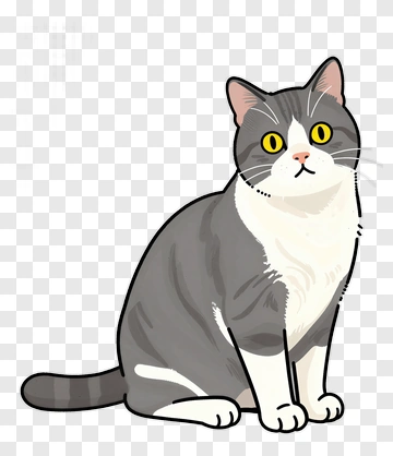 Gray And White Cat Sitting PNG