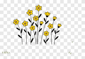 Yellow Flowers On Green Hill PNG