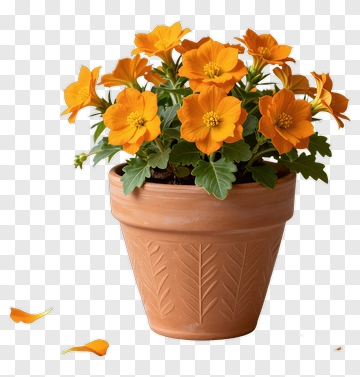 Orange Flower In Clay Pot PNG