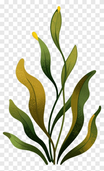 Green And Yellow Leafy Plant PNG