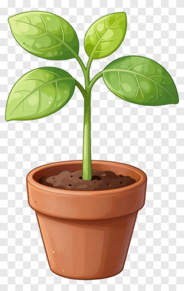 Young Plant In Pot PNG