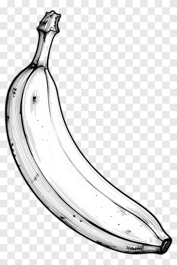 Hand-drawn Banana Illustration PNG