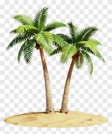 Two Palm Trees On Sandy Ground PNG