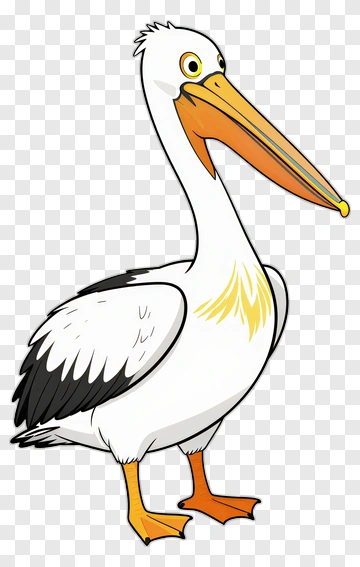 Pelican With Orange Beak PNG