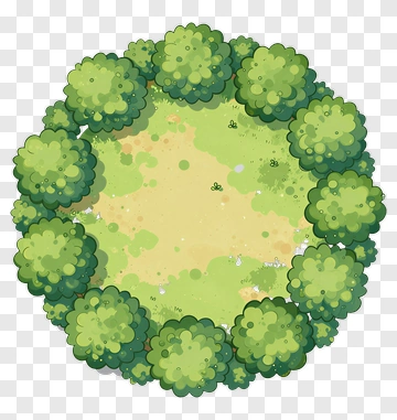 Tree Circle PNG