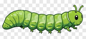 Cute Green Caterpillar PNG