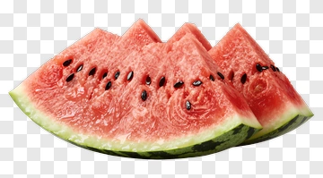 Fresh Watermelon Slices PNG