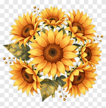 Sunflower Bouquet With Green Leaves And Berries PNG