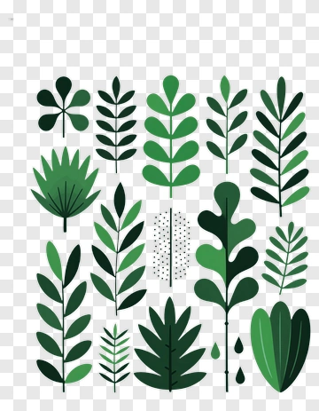 Flat Leaf Design Collection PNG