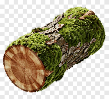 Moss Covered Log PNG