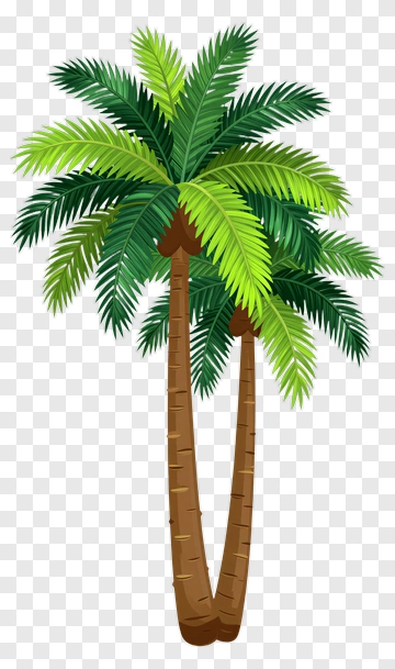 Two Palm Trees PNG