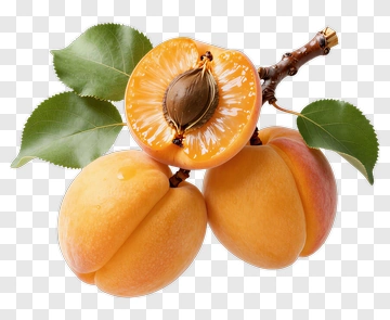 Sliced Apricot With Leaves And Branch PNG