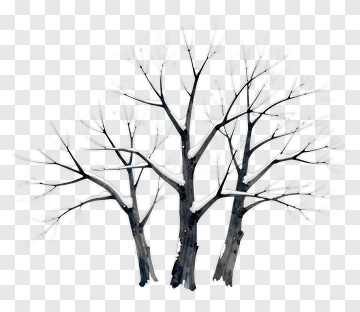 Snowy Trees Under Moonlight PNG