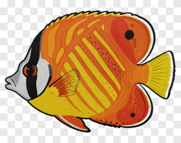 Hand Drawn Orange And Yellow Fish PNG