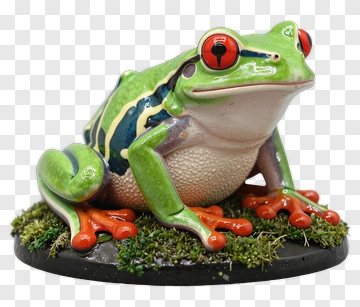 Red-eyed Tree Frog Figurine PNG