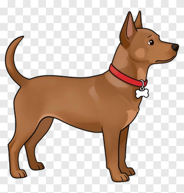 Brown Dog With Red Collar PNG