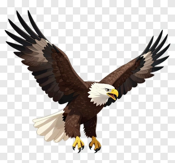 American Eagle In Flight PNG