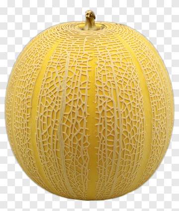 Yellow Melon With Netted Rind PNG